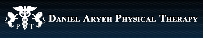 Daniel Aryeh Physical Therapy
